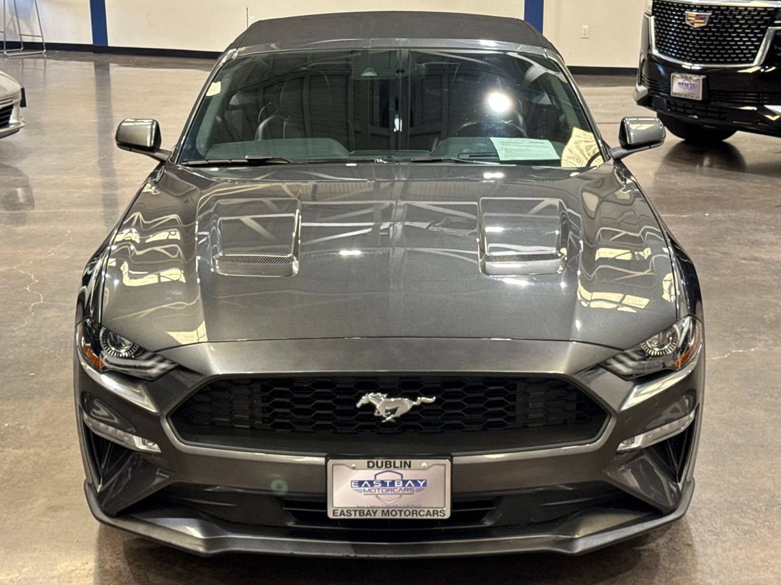 Used 2019 Ford Mustang Premium w/ Equipment Group 201A RWD image 7