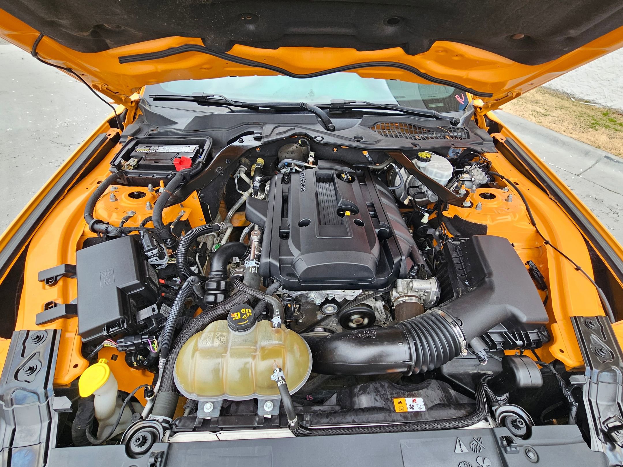 Used 2018 Ford Mustang Premium w/ Equipment Group 201A image 29