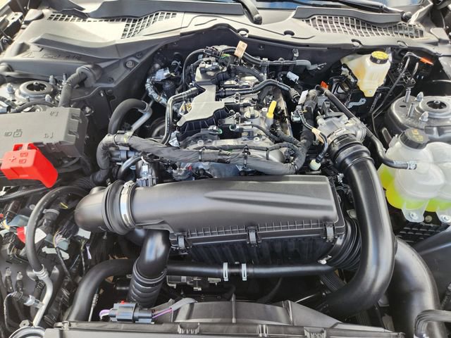 New 2025 Ford Mustang Coupe image 31