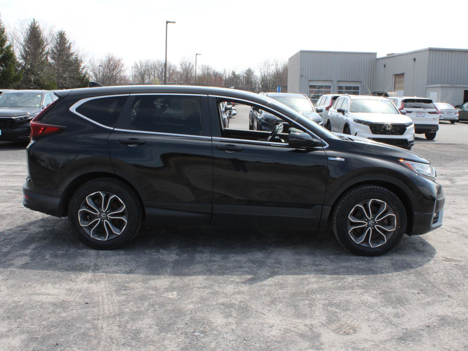 Certified 2022 Honda CR-V EX-L image 4