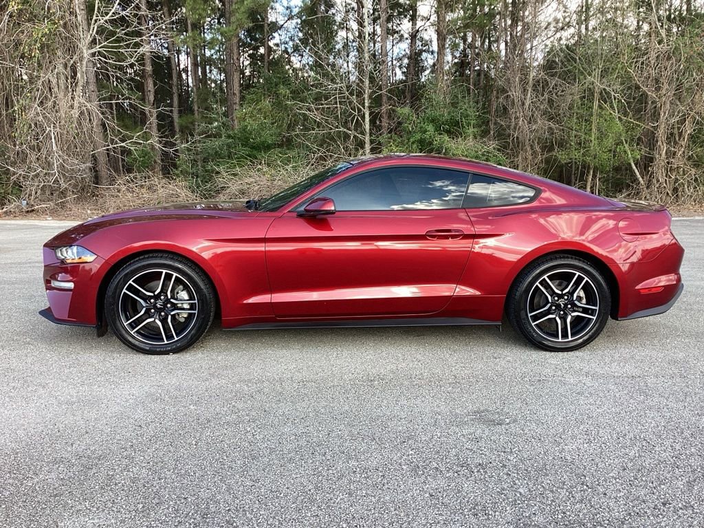 Used 2019 Ford Mustang Premium w/ Enhanced Security Package image 6