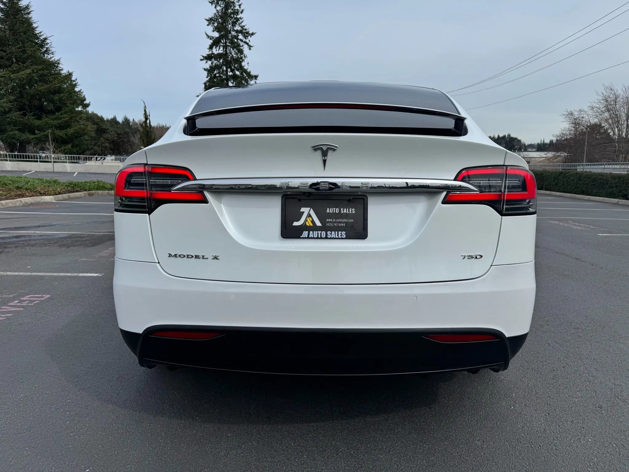 Used 2017 Tesla Model X 75D image 9