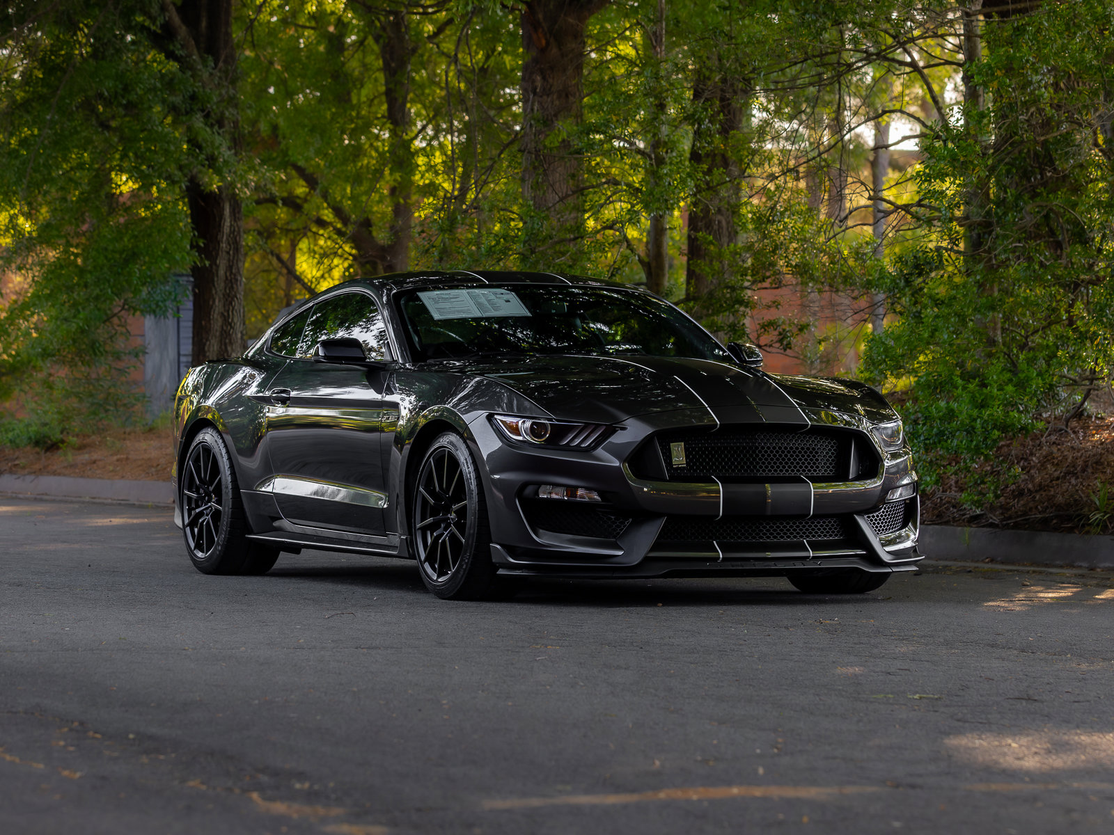 Used 2016 Ford Mustang Shelby GT350 w/ Technology Package RWD image 43