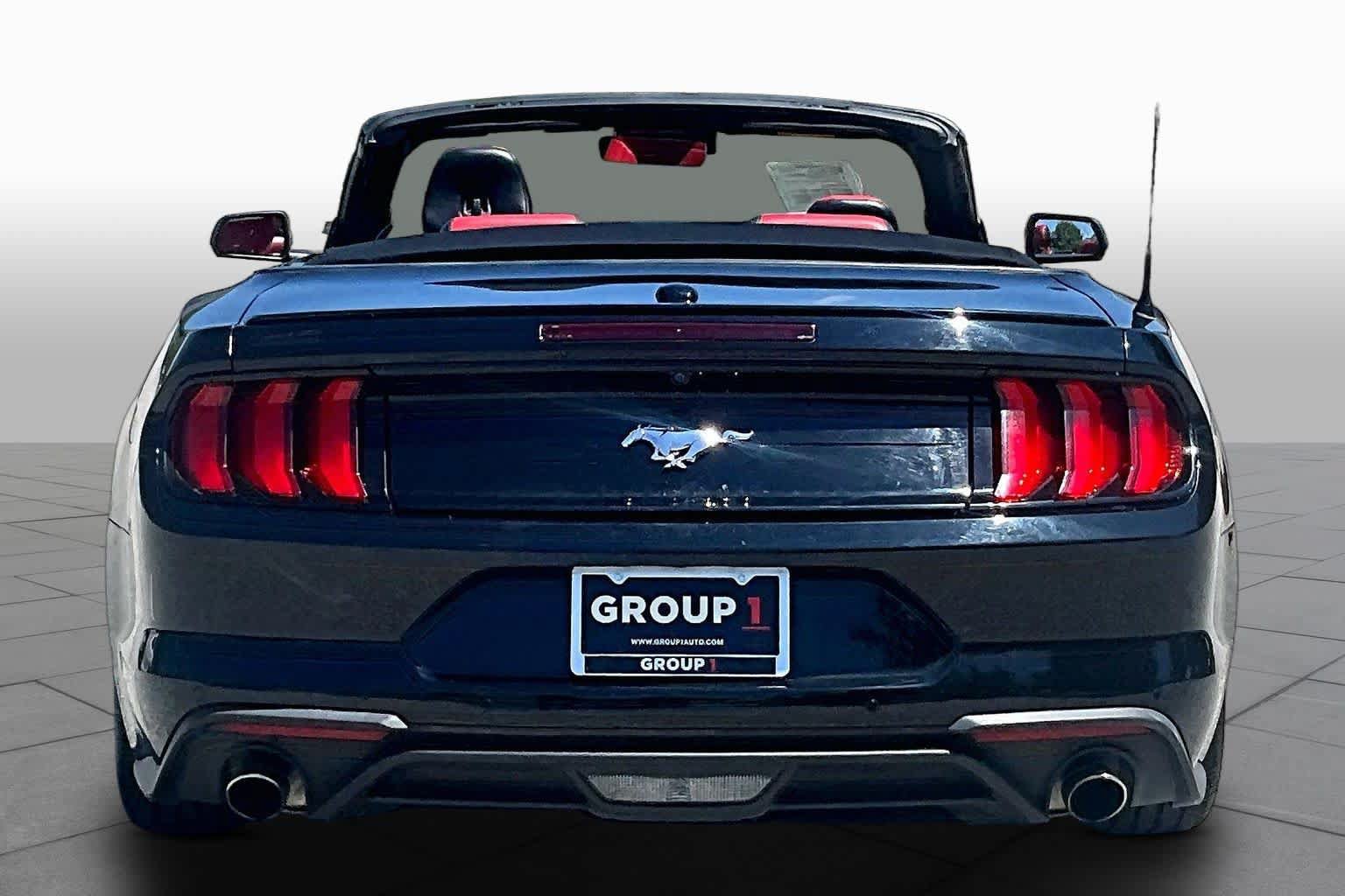 Used 2019 Ford Mustang Premium w/ Equipment Group 201A RWD image 5