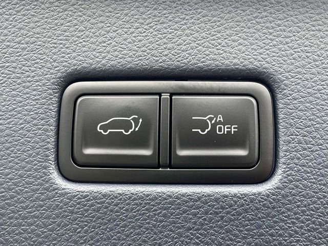 New 2026 Kia Carnival SX Prestige image 19