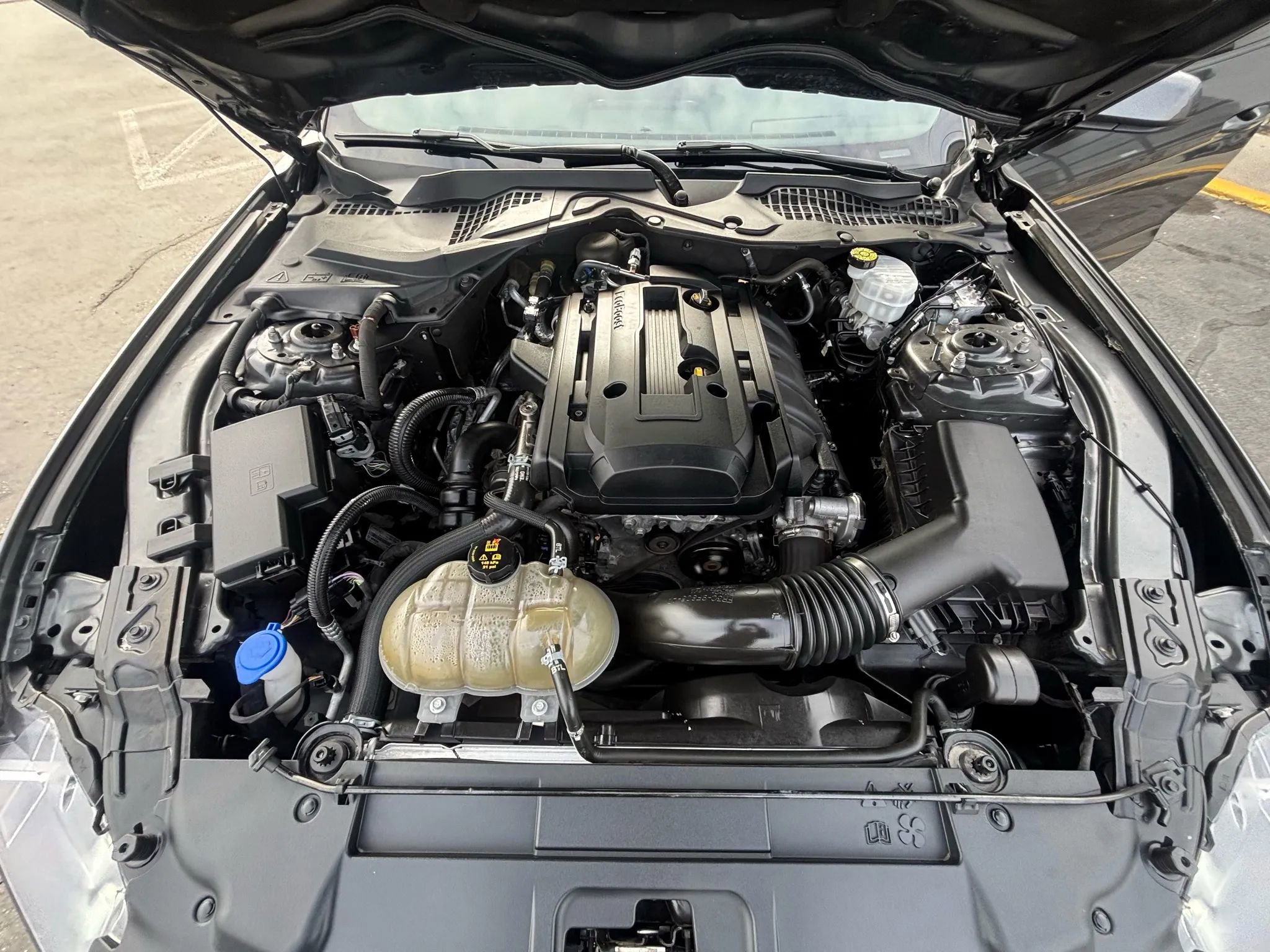 Used 2020 Ford Mustang Coupe image 21