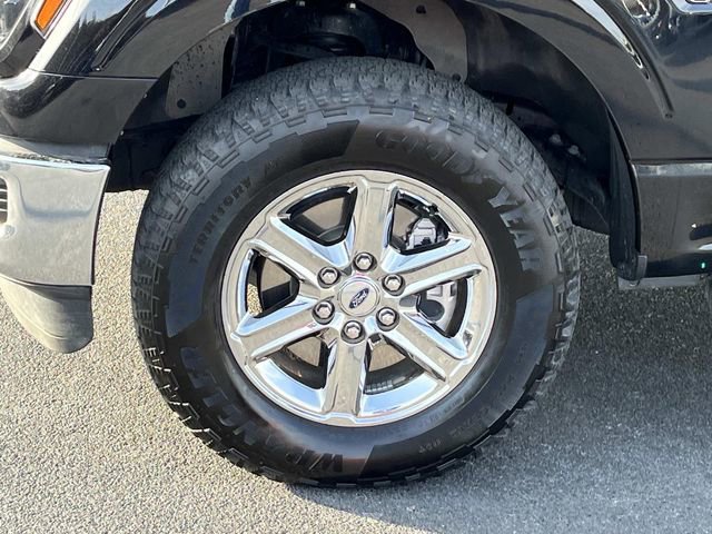 Used 2025 Ford F150 XLT w/ Equipment Group 301A Standard AWD/4WD image 12