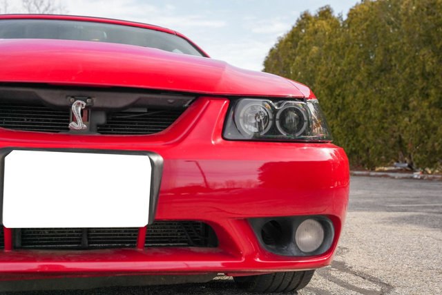 Used 1999 Ford Mustang Cobra image 59