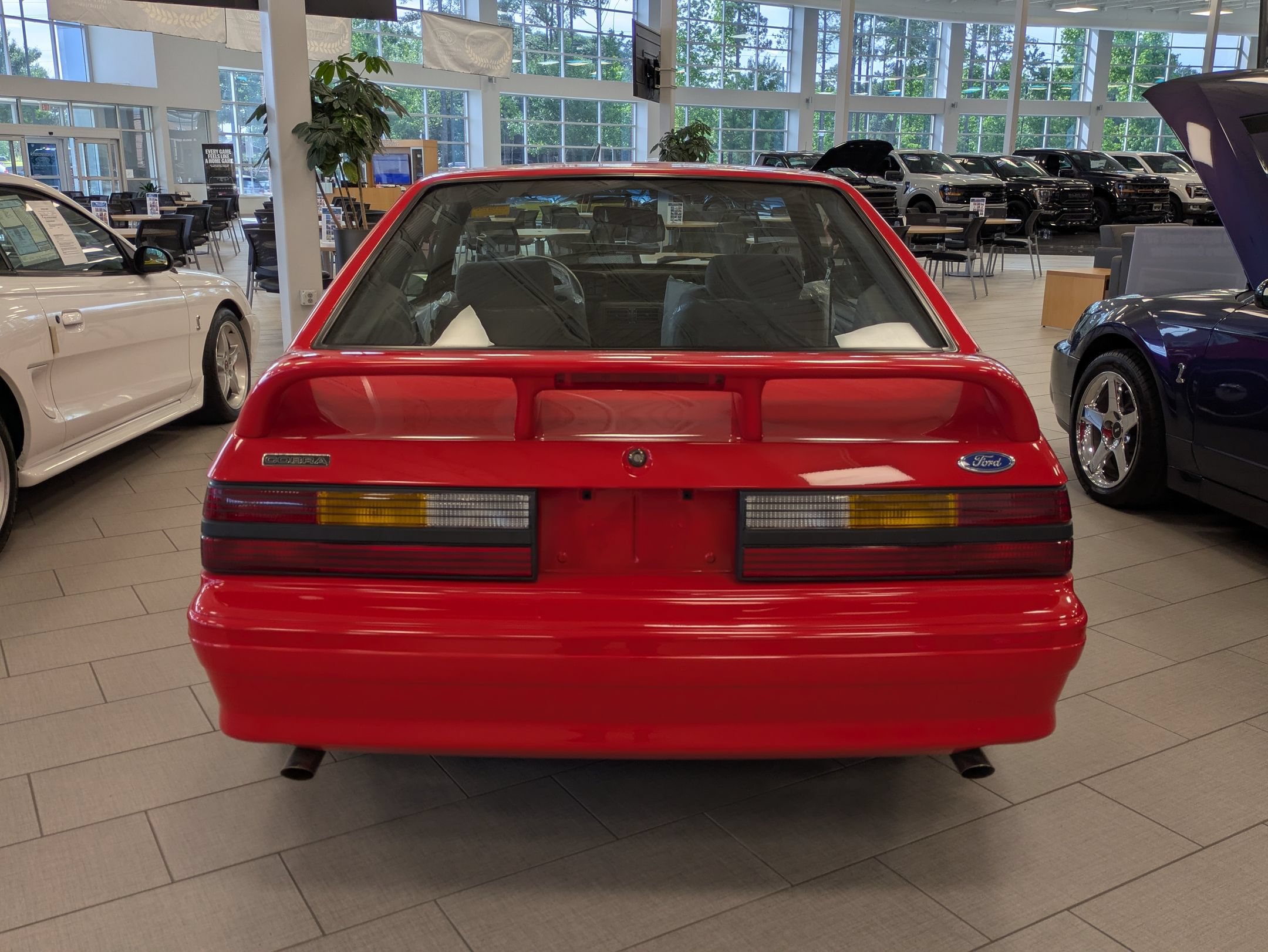 Used 1993 Ford Mustang Cobra RWD image 4