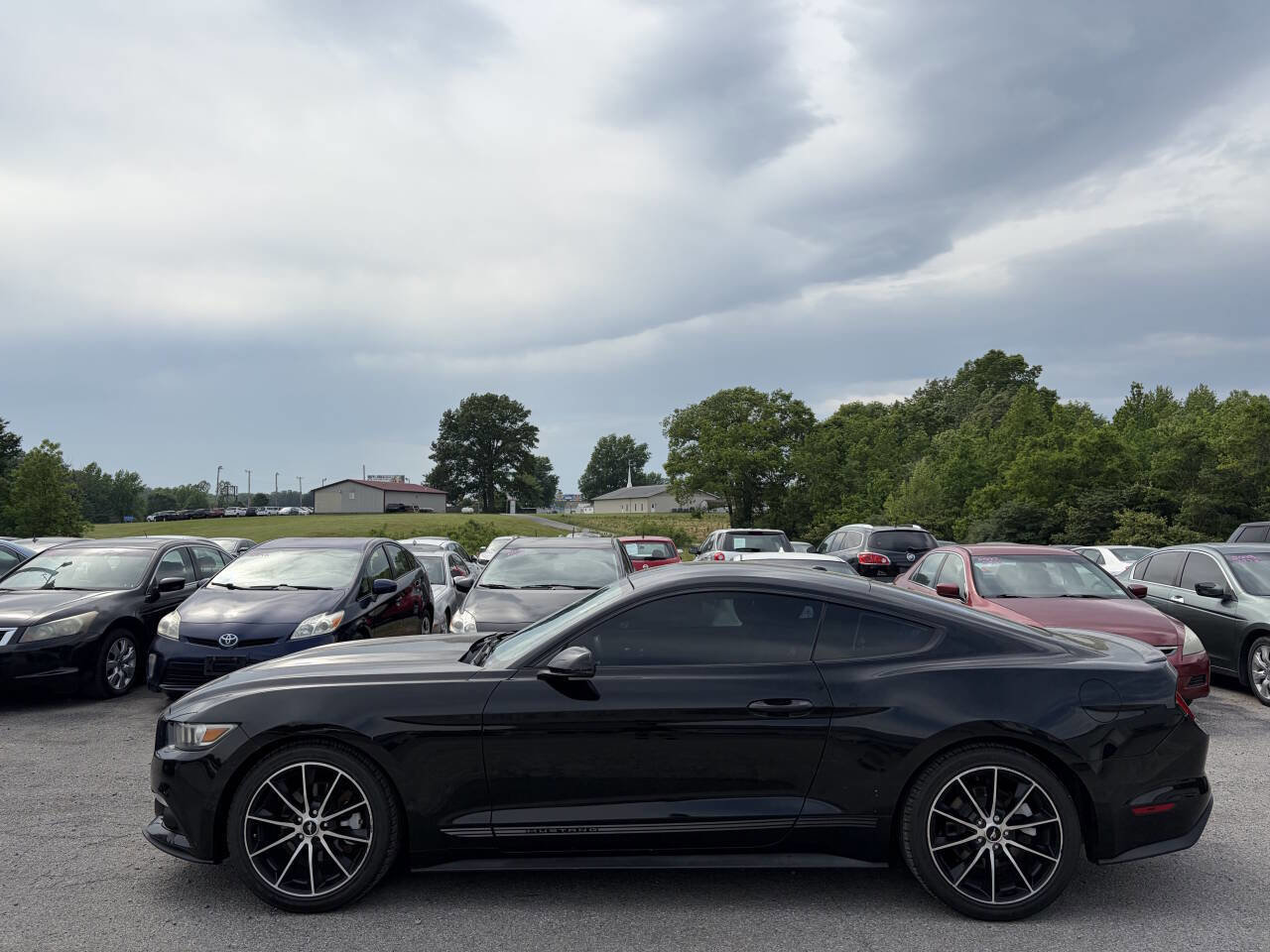 Used 2016 Ford Mustang Premium w/ Wheel & Stripe Package RWD image 14
