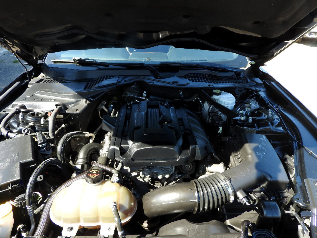 Used 2018 Ford Mustang Premium w/ Equipment Group 201A image 18