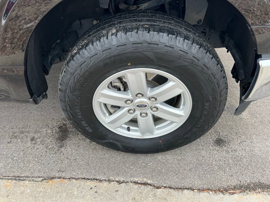 Used 2023 Ford F150 XLT image 13