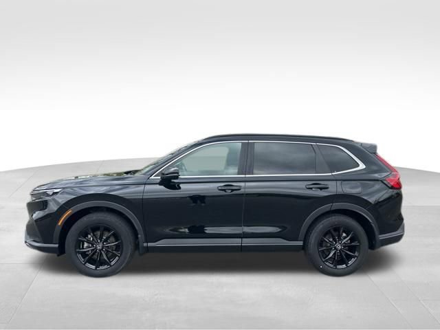 Used 2025 Honda CR-V Sport image 2