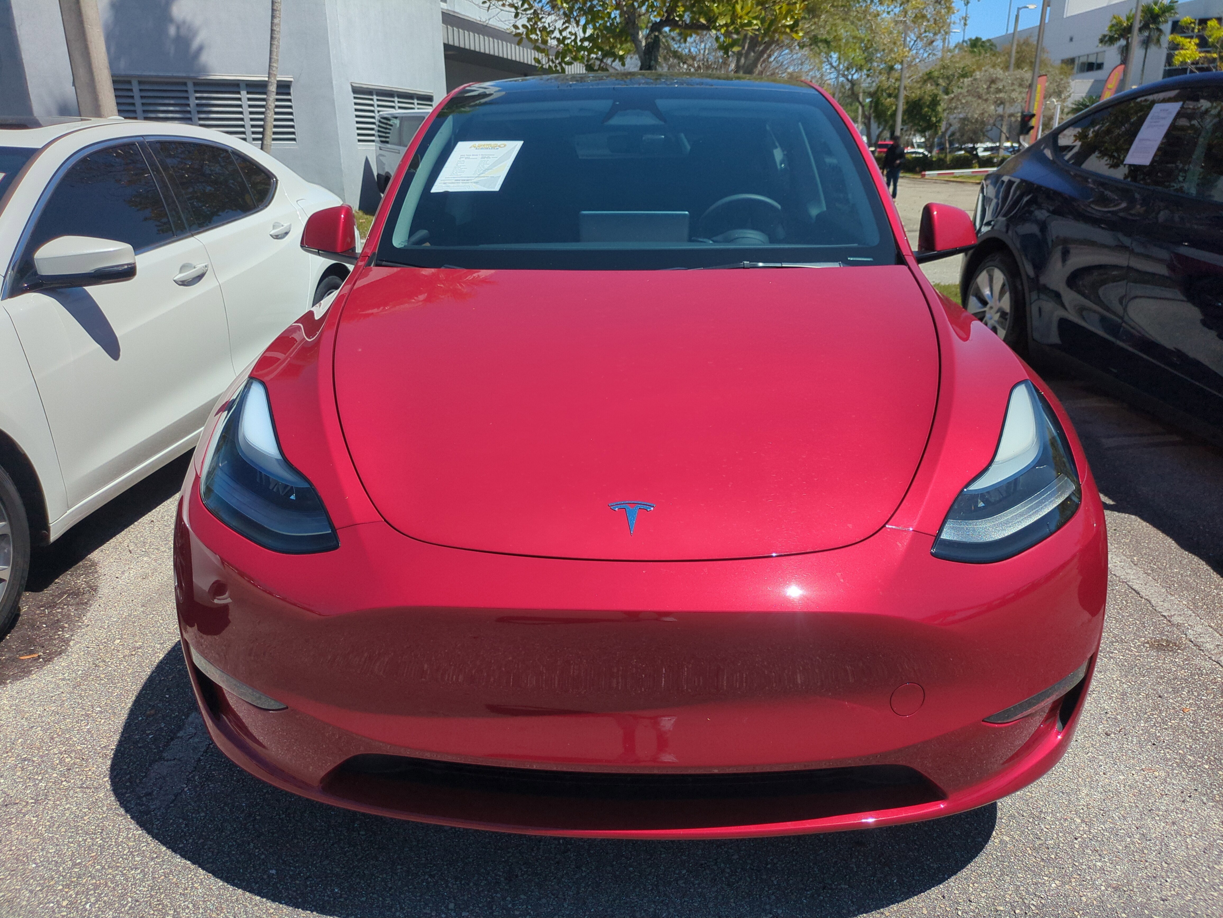 Used 2023 Tesla Model Y Performance image 3