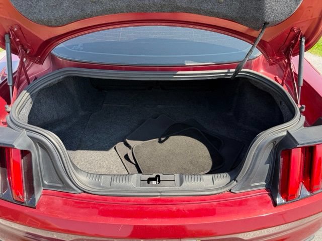Used 2016 Ford Mustang Premium RWD image 5