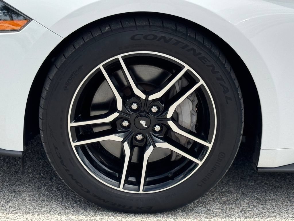 Used 2019 Ford Mustang GT Premium RWD image 41