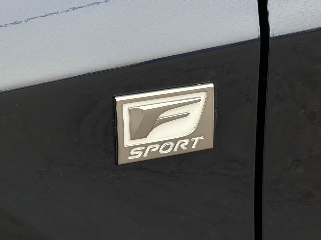 Used 2021 Lexus RX 350 F Sport w/ Cold Area Package (CT) AWD/4WD image 7