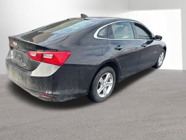 Used 2025 Chevrolet Malibu LS image 5