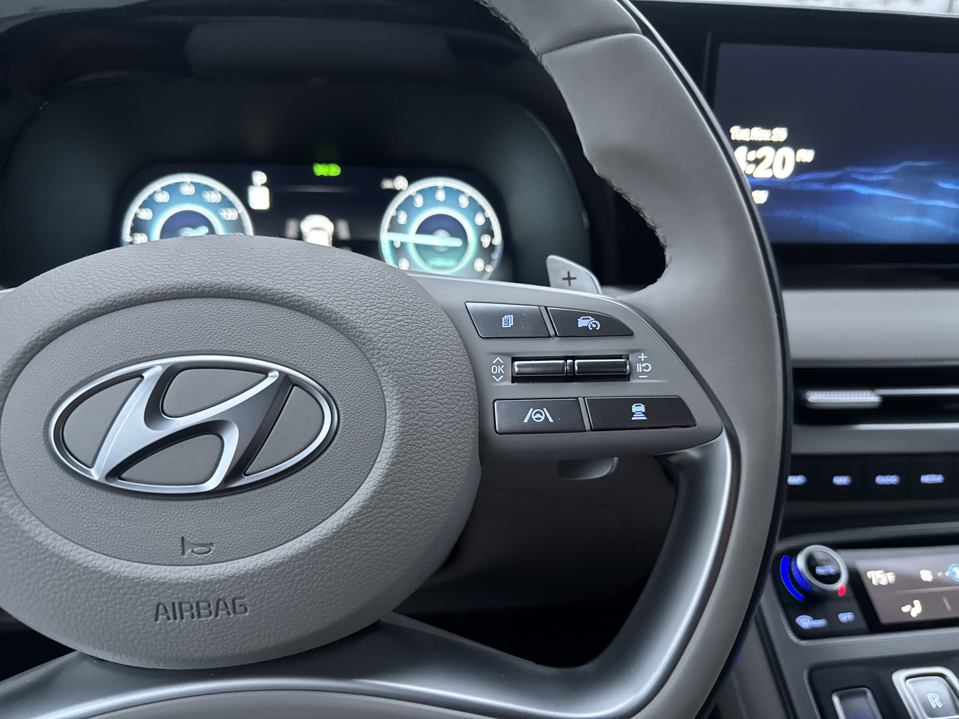 Used 2025 Hyundai Palisade Calligraphy image 20