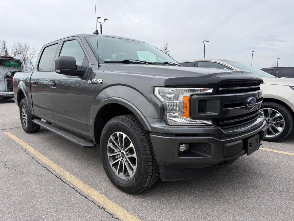 Used 2019 Ford F150 XLT w/ Equipment Group 302A Luxury image 1