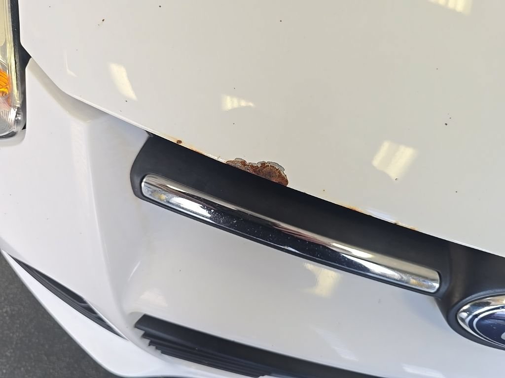 Used 2014 Ford Focus SE FWD image 8