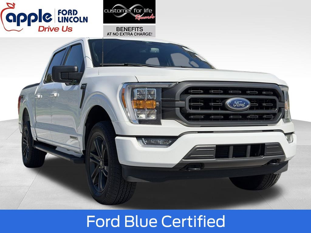 Used 2023 Ford F150 XLT w/ Equipment Group 302A High