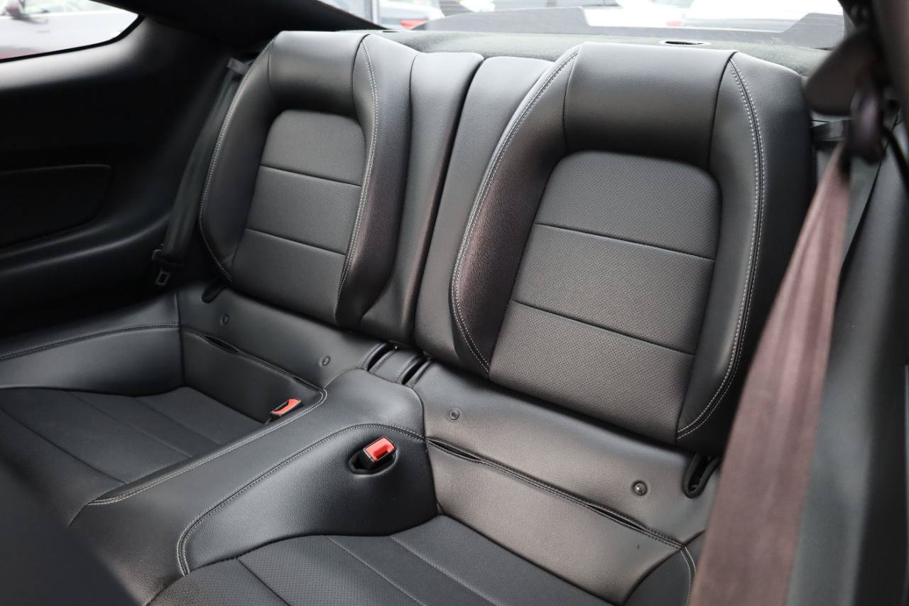 Used 2019 Ford Mustang Premium w/ Equipment Group 201A RWD image 13