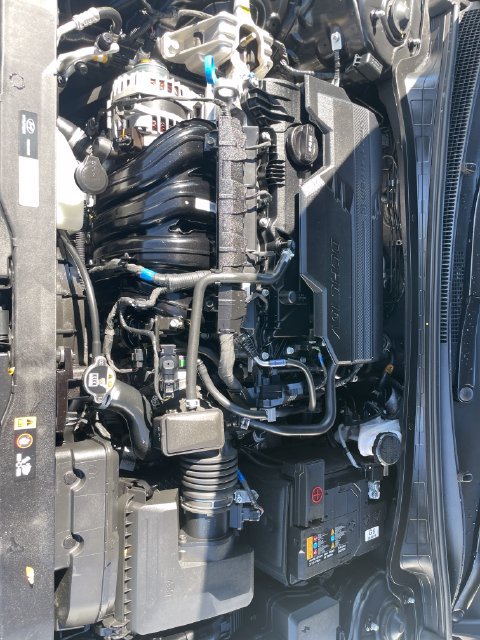 Used 2025 Hyundai Elantra Limited FWD image 31