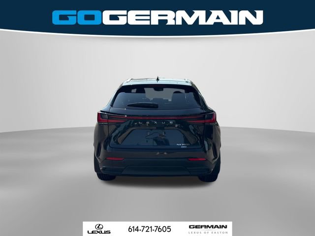 New 2025 Lexus NX 300h 350h Luxury image 9