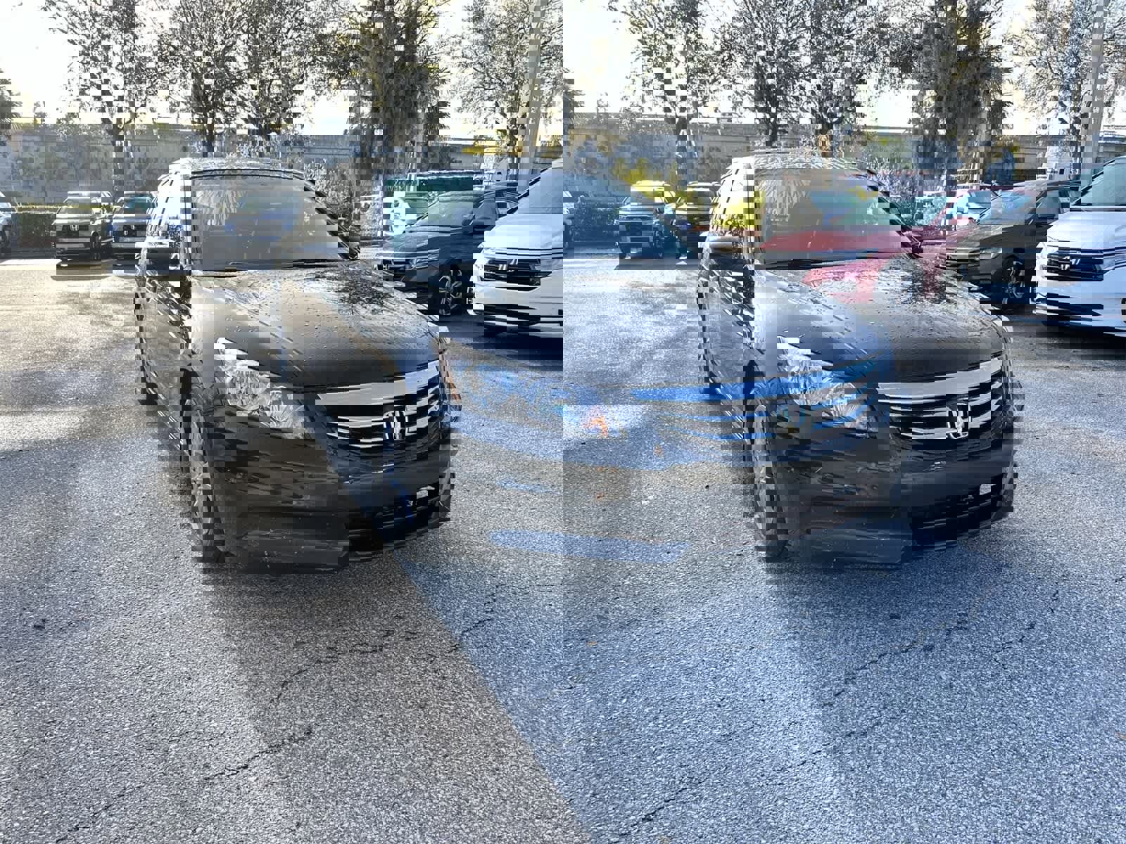 Used 2012 Honda Accord SE image 8