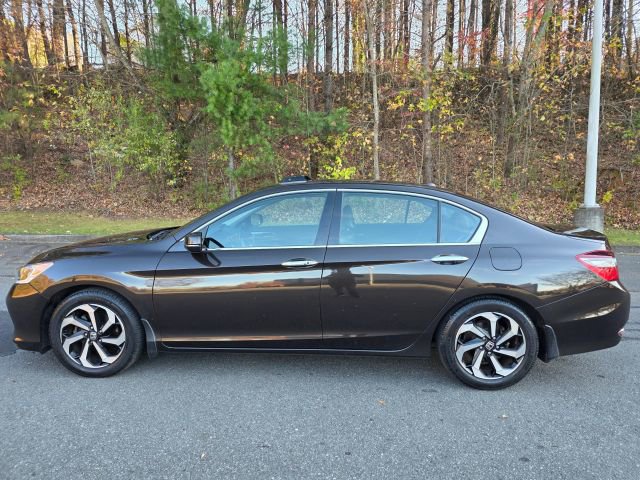 Used 2016 Honda Accord EX-L image 8