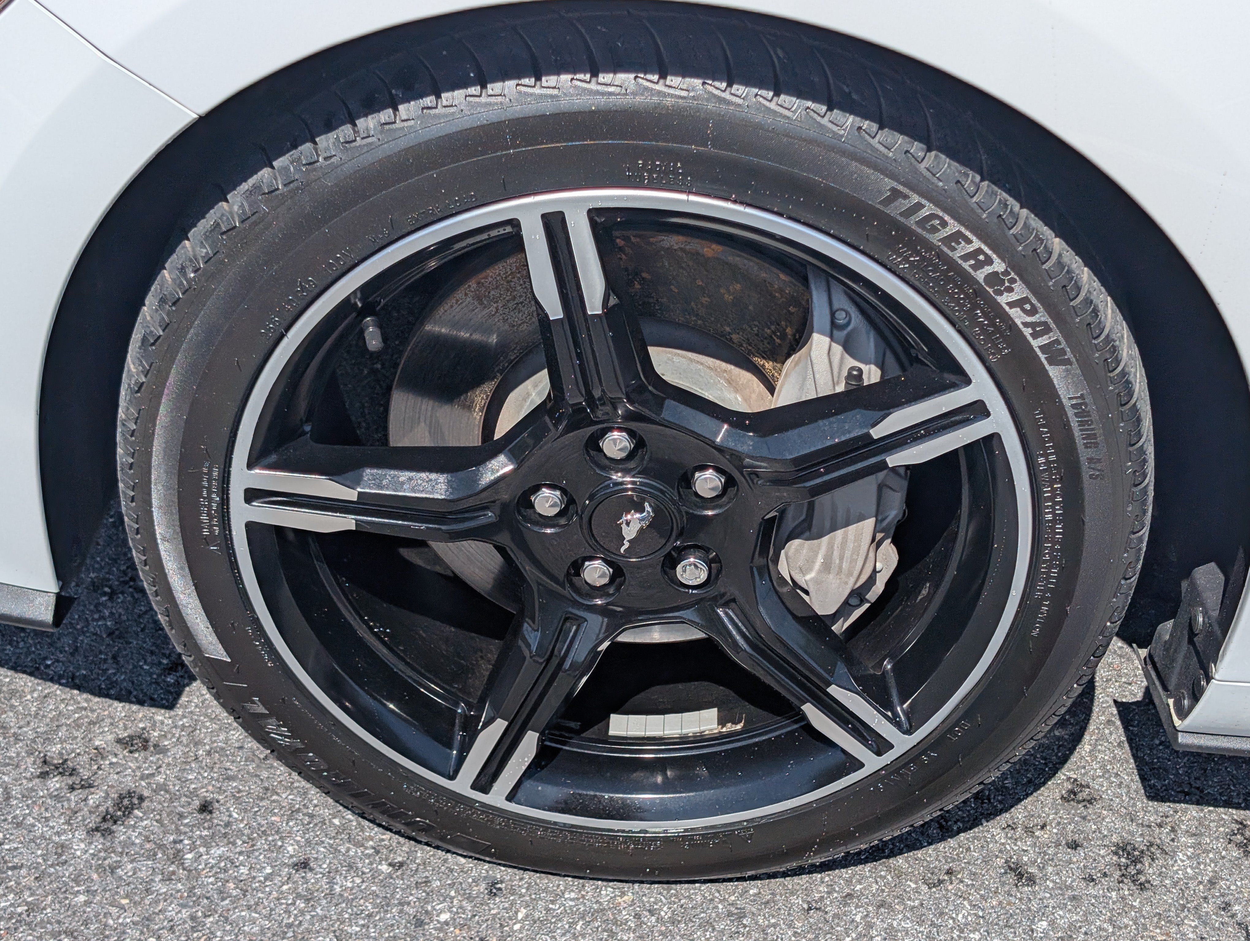 Used 2019 Ford Mustang GT Premium w/ Equipment Group 401A RWD image 11