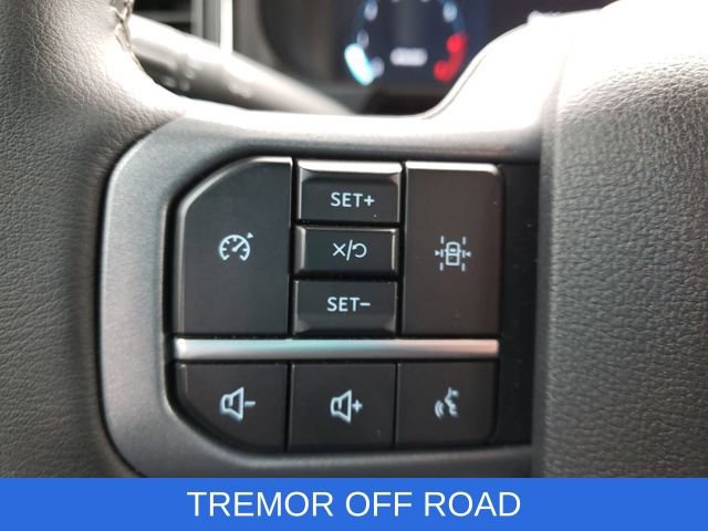 Used 2025 Ford F250 Lariat w/ Tremor Off-Road Package image 14