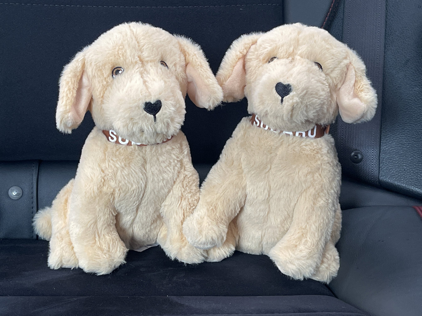 New 2025 Subaru Ascent Bronze Edition w/ Popular Package #2 image 24