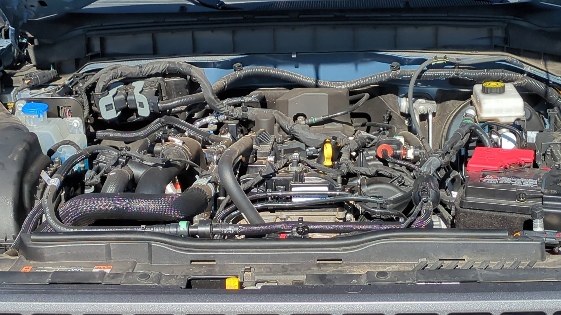 Used 2024 Ford Bronco Everglades image 29