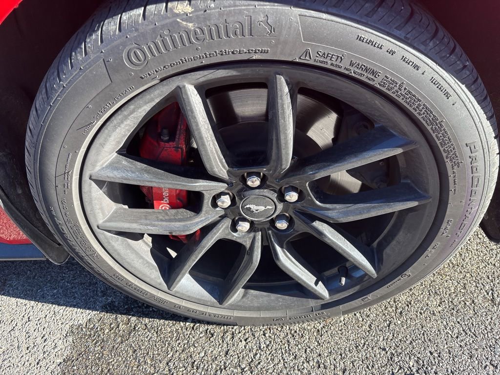 Used 2024 Ford Mustang GT Premium image 7