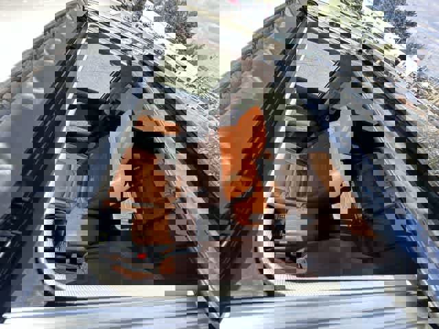 Used 2018 Nissan Rogue SL w/ Premium Package image 6