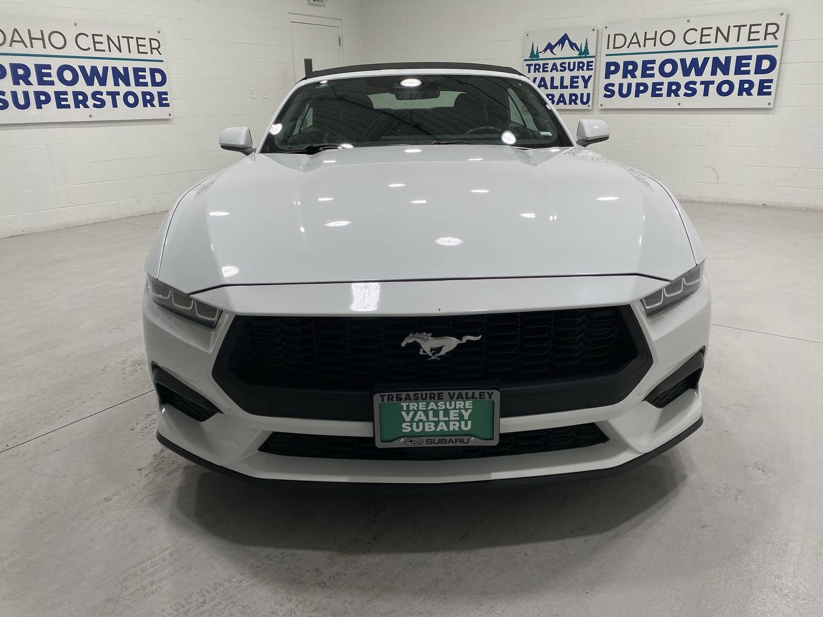 Used 2024 Ford Mustang Premium RWD image 3