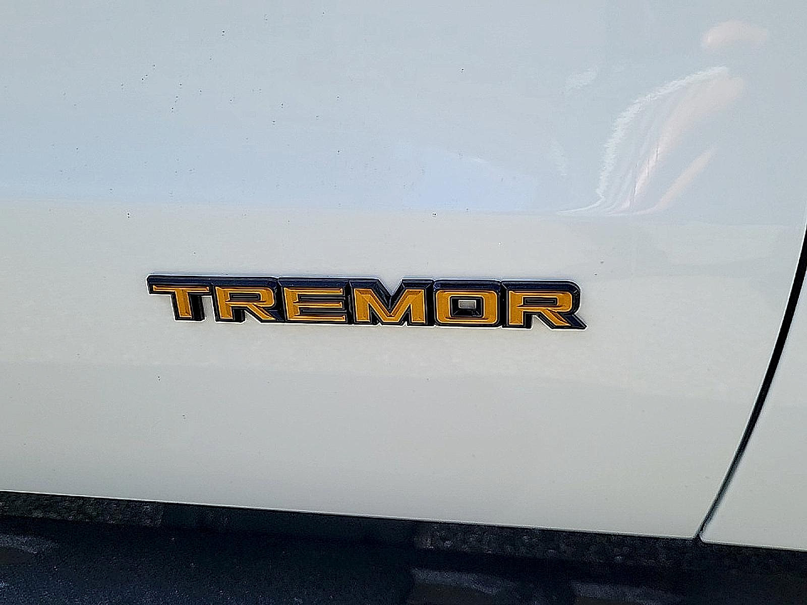 Used 2025 Ford Expedition Tremor AWD/4WD image 39