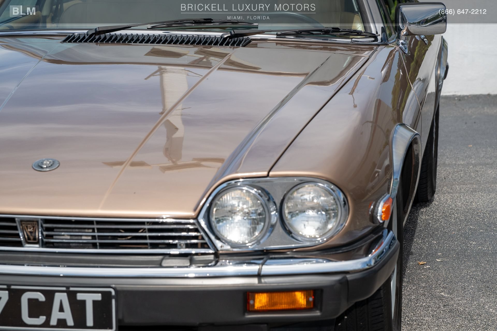 Used 1987 Jaguar XJS V12 Coupe RWD image 47