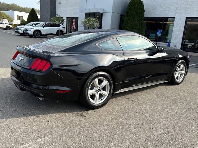 Used 2017 Ford Mustang Coupe image 5