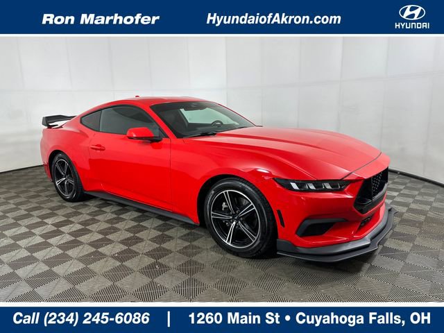 Used 2024 Ford Mustang Premium image 1