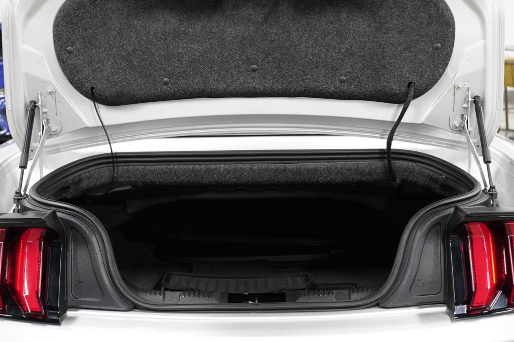 Used 2019 Ford Mustang Premium RWD image 14