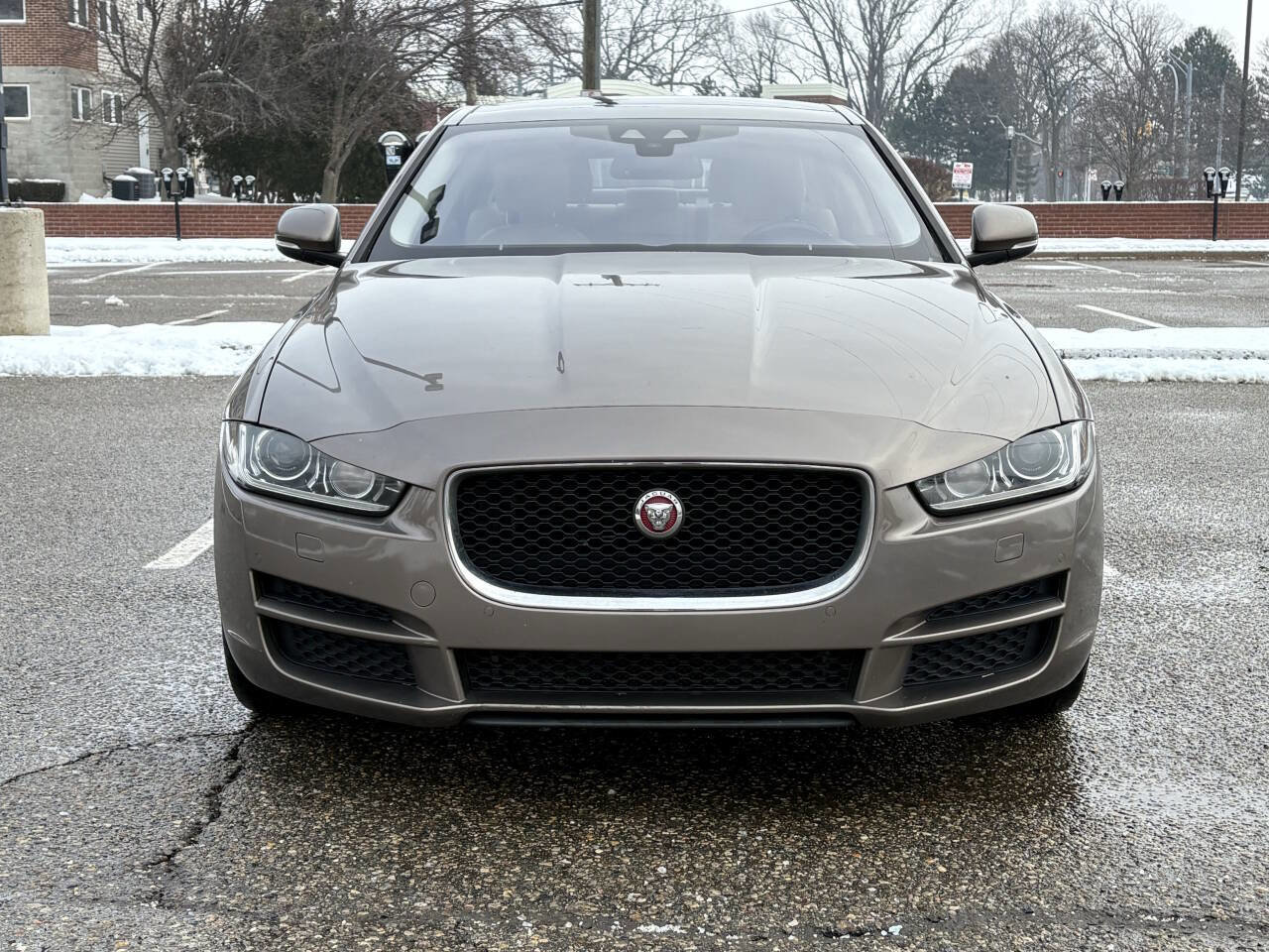 Used 2017 Jaguar XE Premium image 4