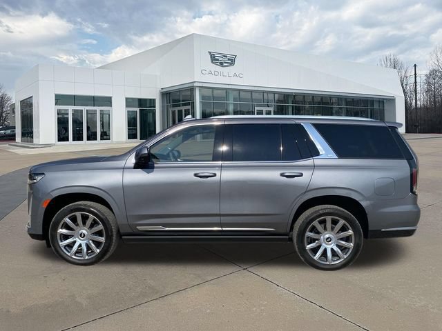 Used 2021 Cadillac Escalade Premium Luxury Platinum AWD/4WD image 10