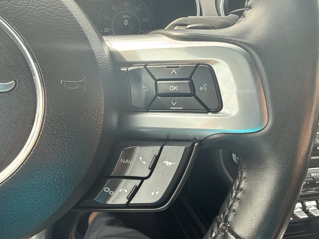 Certified 2019 Ford Mustang Premium w/ Equipment Group 201A RWD image 15