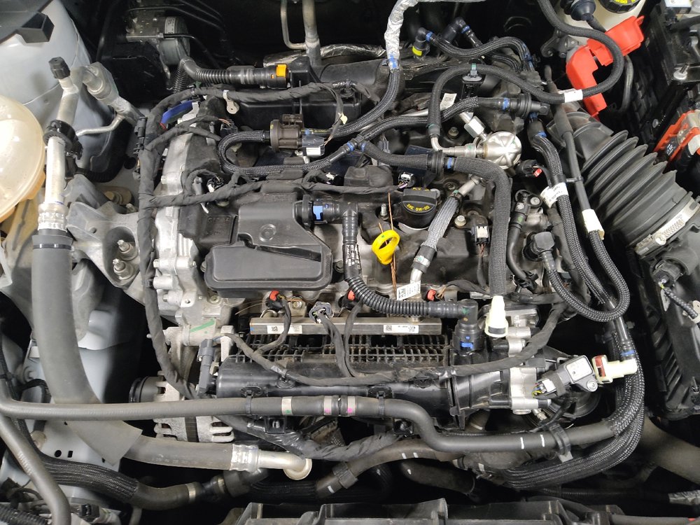 Used 2021 Ford Escape SE image 30