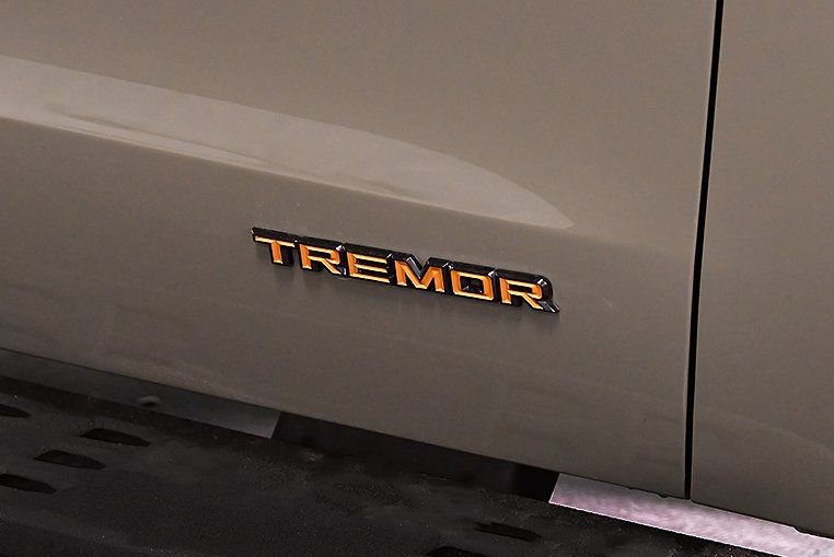 Used 2025 Ford Expedition Tremor image 10