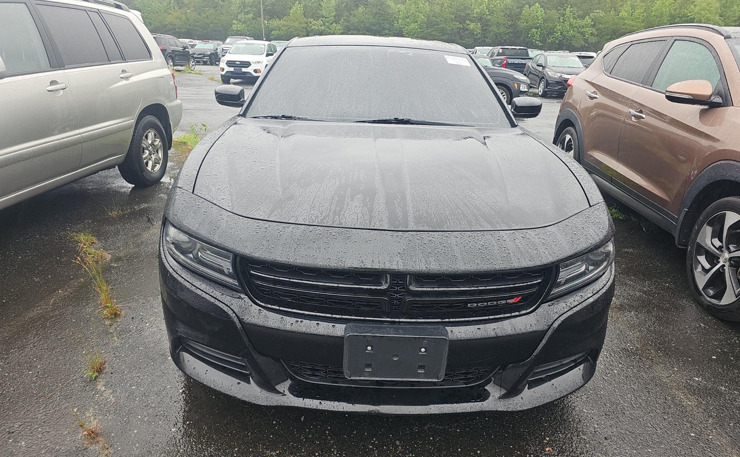 Used 2019 Dodge Charger SXT RWD image 3