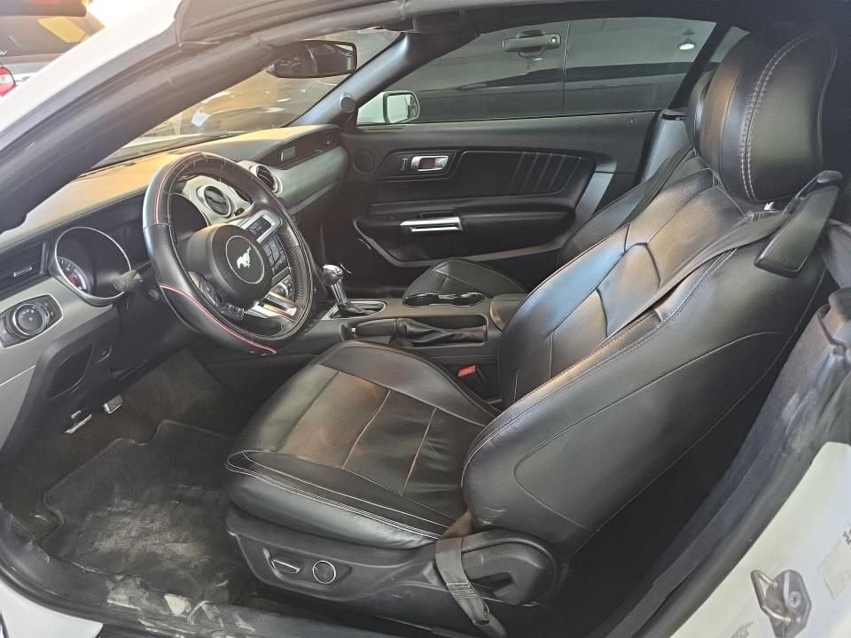 Used 2019 Ford Mustang Premium RWD image 3